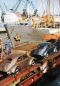 Preview: "Volkswagen Informationen" Mitteilungsblatt 1954 VW-Magazin (11188)