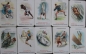 Preview: Altenburg Spielkarten "Sport-Quartett" 1953 Cardgame (9527)
