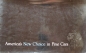 Preview: Packard Modelprogram 1954 "Americas New Choice in fine Cars" Prestigecatalogue (3440)