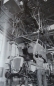 Preview: Vogelsang "Max wird Autoschlosser" Mercedes-History 1954 (2525)
