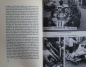 Preview: Lanz "Niki Lauda" 1983 Lauda-Racingdriver-Biography (2971)