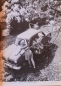 Preview: "Motor im Bild" Automobile-Magazine 1955 (4517)