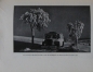 Preview: Dietl "Die Fahrtechnik - Mit dem Kraftwagen richtig umgehen" Vehicletechnic 1931 (5510)
