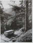 Preview: Büssing-NAG Bus auf Reisen durch Deutschland 1955 Werksfoto (5764)