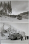 Preview: Büssing-NAG Bus auf Reisen durch den Harz 1955 zwei Werksfotos (5768)