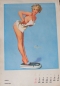 Preview: Brown & Bigelow Pin-up Yearcalendar 1963 Gil Elvgren (6922)