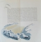 Preview: Mercedes-Benz Modelprogram 1958 Carbrochure (8940)