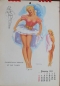 Preview: Studio Sketches Pin-up Calendar 1952 Thompson (7305)