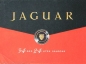 Preview: Jaguar Modelprogram 1951 Carbrochure (8440)