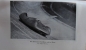 Preview: Reh "Vom Start zum Ziel" 1939 Motorracing-History (9341)