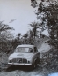 Preview: Renault Dauphine Rally 1959 Factoryphoto (0796)