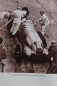 Preview: Brauchitsch "Kampf um Meter und Sekunden" 1955 Racingdriver-Biography (2476)