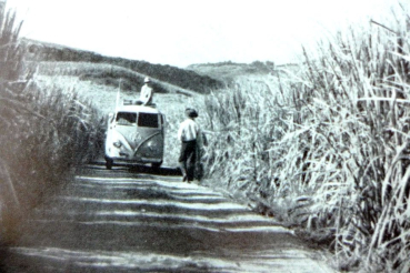 Blenck "Südafrika heute" Volkswagen T1 Transporter Reisebericht 1955 (10869)
