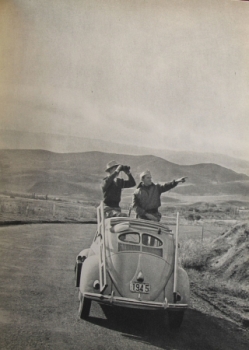 Nicolai "Image du Souvenier" 1951 Volkswagen-Africa-travel (0162)