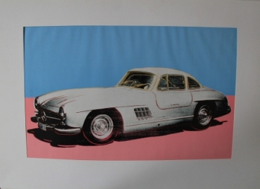 Mercedes-Benz SL Klasse Modelprogram 1989 Carbrochure-Map (5671)