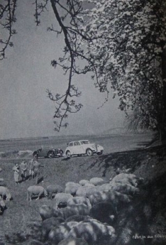 DKW Modelprogram 1936 "Customer Service" Carbrochure (8758)