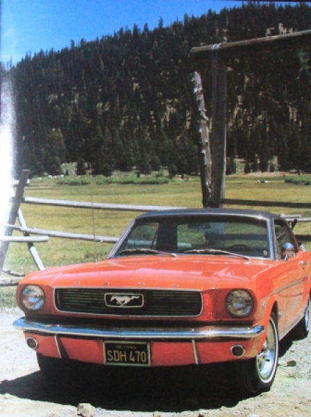 Martinez "Vom Cadillac zum Studebaker" Car-History 1982 (1754)