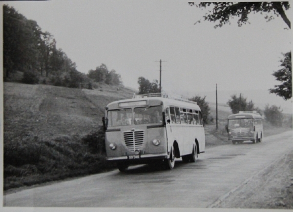 Buessing-NAG Busses on tour 1953 Originalphoto (5781)